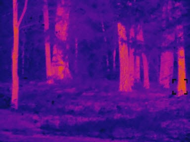 Pit Viper Thermal Rifle Scope